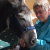 A visit from Jasmine the Donkey!